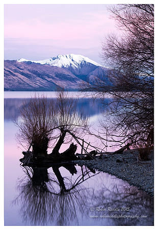 NZ magic