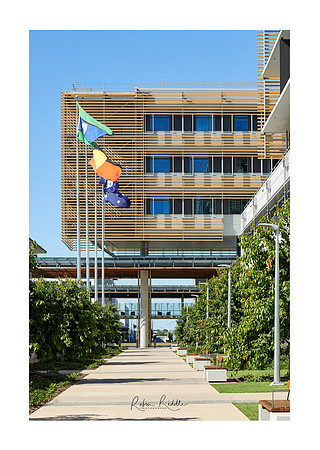 Sunshine Coast University Hospital 20