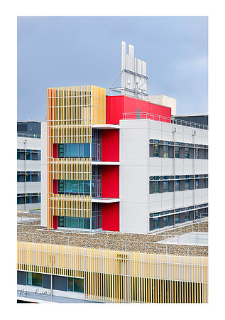 Sunshine Coast University Hospital 9