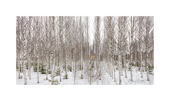 winter view - Finland
