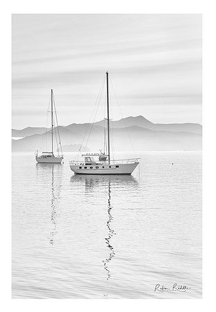 Picton 2
