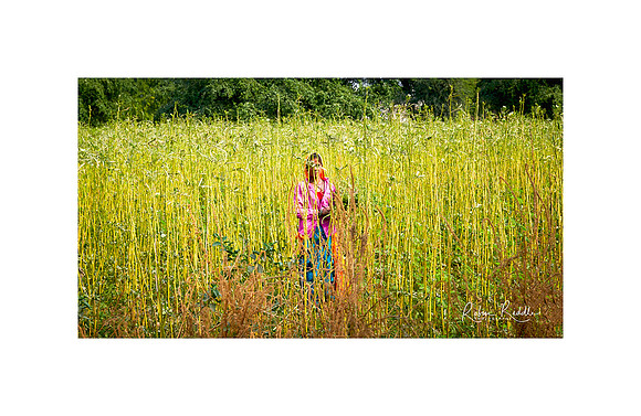 field of dreams