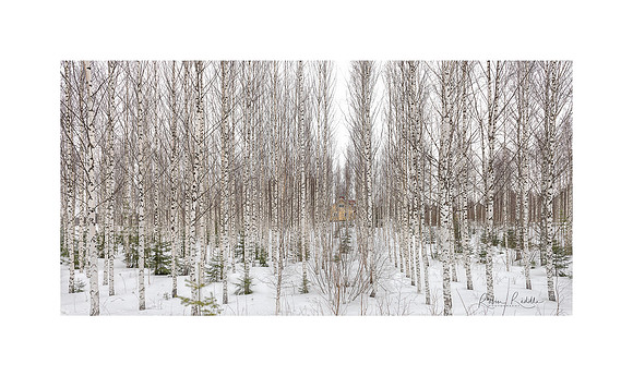 winter view - Finland