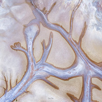 connections
