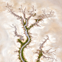 inception 1
